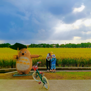 #11 你害怕死亡吗|考研的晚上睡不着怎么办|《遗愿清单》02上