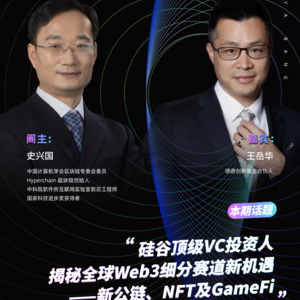 史兴国对谈王岳华：硅谷顶级VC投资人揭秘全球Web3细分赛道新机遇——新公链、NFT及GameFi