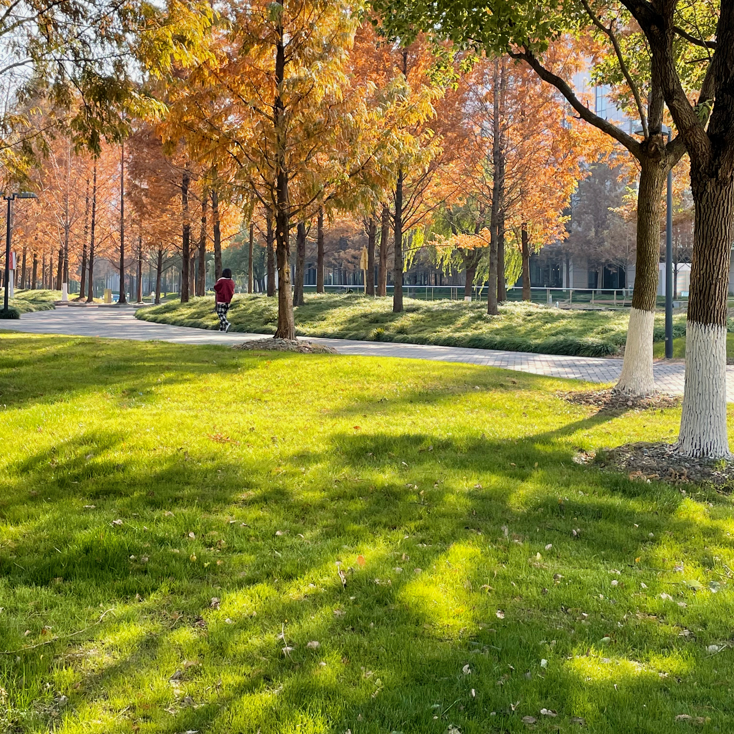 020 浅聊符合预期的人生丨漕河泾读书会(下)