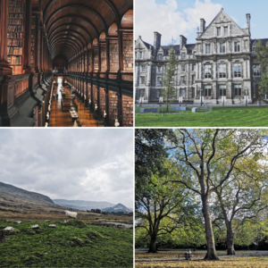 #15 连线都柏林：和圣三一校友聊聊萨莉·鲁尼与爱尔兰生活