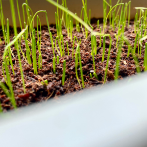 13.打一只蚊子，打出了28分钟废话