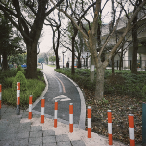 VOL68.体验即奖赏：昨夜我做了一个美丽的好梦。