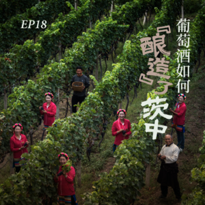 EP18. 葡萄酒如何“酿造”了云南茨中？