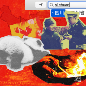 我是四川人，请攻击我最薄弱的地方丨EP224