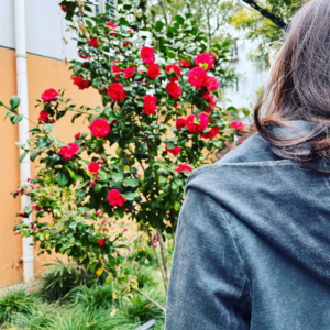 阿梁和他的朋友们