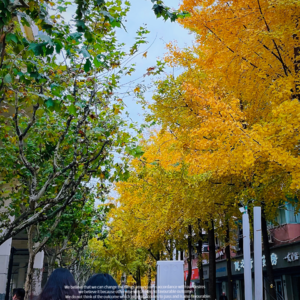 -069 医院之外,你值得更广阔的人生