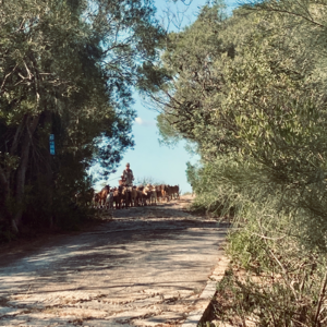 007.加更：我们谈论三月不是因为我知道她是什么，而是因为我爱她