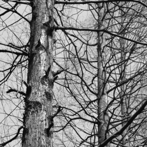 1. 他说：“叔叔”们可能都不会想跟你聊天