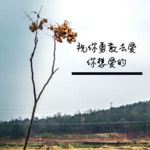 【11】祝你勇敢的去爱你想爱的