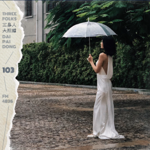 DPD_103 在嫁娶习俗中见证社会变迁 ，我在潮汕做了十年婚礼影像