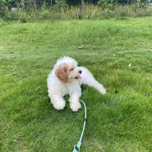 你的身体存储着多少人的问题？｜潜意识清理