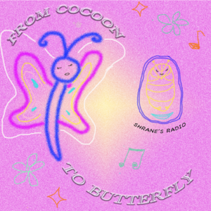 From Cocoon to Butterfly 破茧记