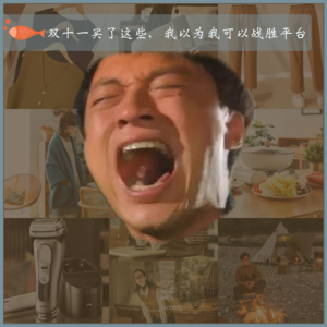 32.双十一买了这些，我以为我可以战胜平台