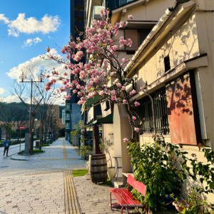 37.远离精神内耗,用爱重新养育自己