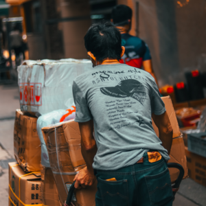 The Wicked Postman 泰戈尔诗集30 恶邮差