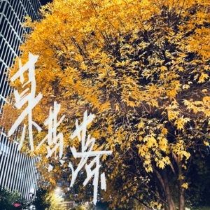 寥聊 #032 草木黄落