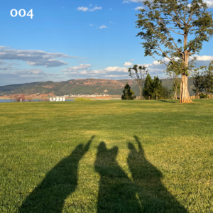 004.你从哪一刻，开始觉得自己像个大人了？