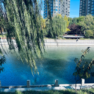 寥聊 #060 真没想到 ！