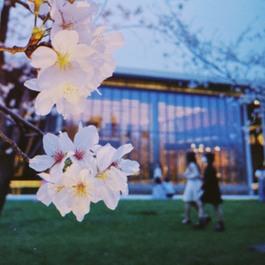 018 | 心情低落时，我们聊些什么