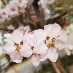 01 历史的意义就这？太幼稚了吧