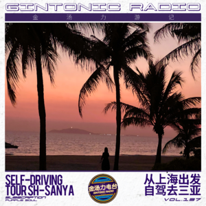 金汤力游记|2400公里，从上海自驾去三亚