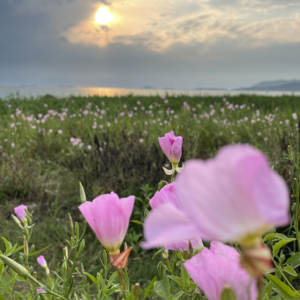 -070 医生的offer，令你心动了吗