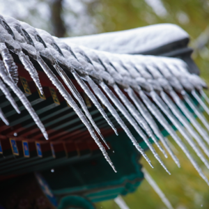 遇雪玩雪，遇冰玩冰，遇叶玩叶【我们行走在圆明园】