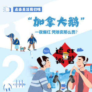 #002 智商税，还是真香？一夜爆红的“加拿大鹅”凭啥卖那么贵？