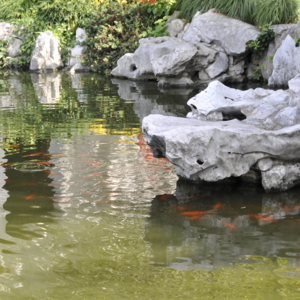 028 园冶 掇山篇 说说古典园林中的掇山类型2