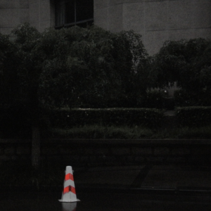 方言读诗-廖伟棠《一九二七年春，帕斯捷尔纳克致茨维塔耶娃》