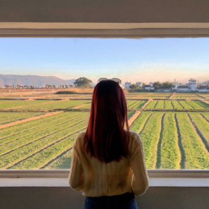 vol.2 能和大理美食媲美的深坑应该只有旅拍了？