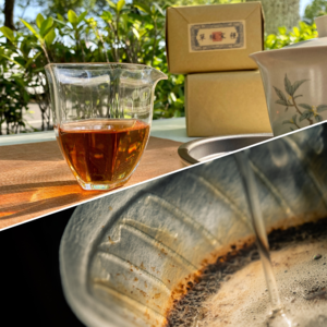 11.一期讲咖啡的茶节目