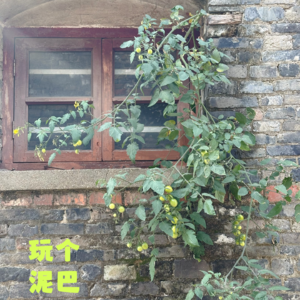 Vol.52 你自己看看 人家没人管还长这么好！