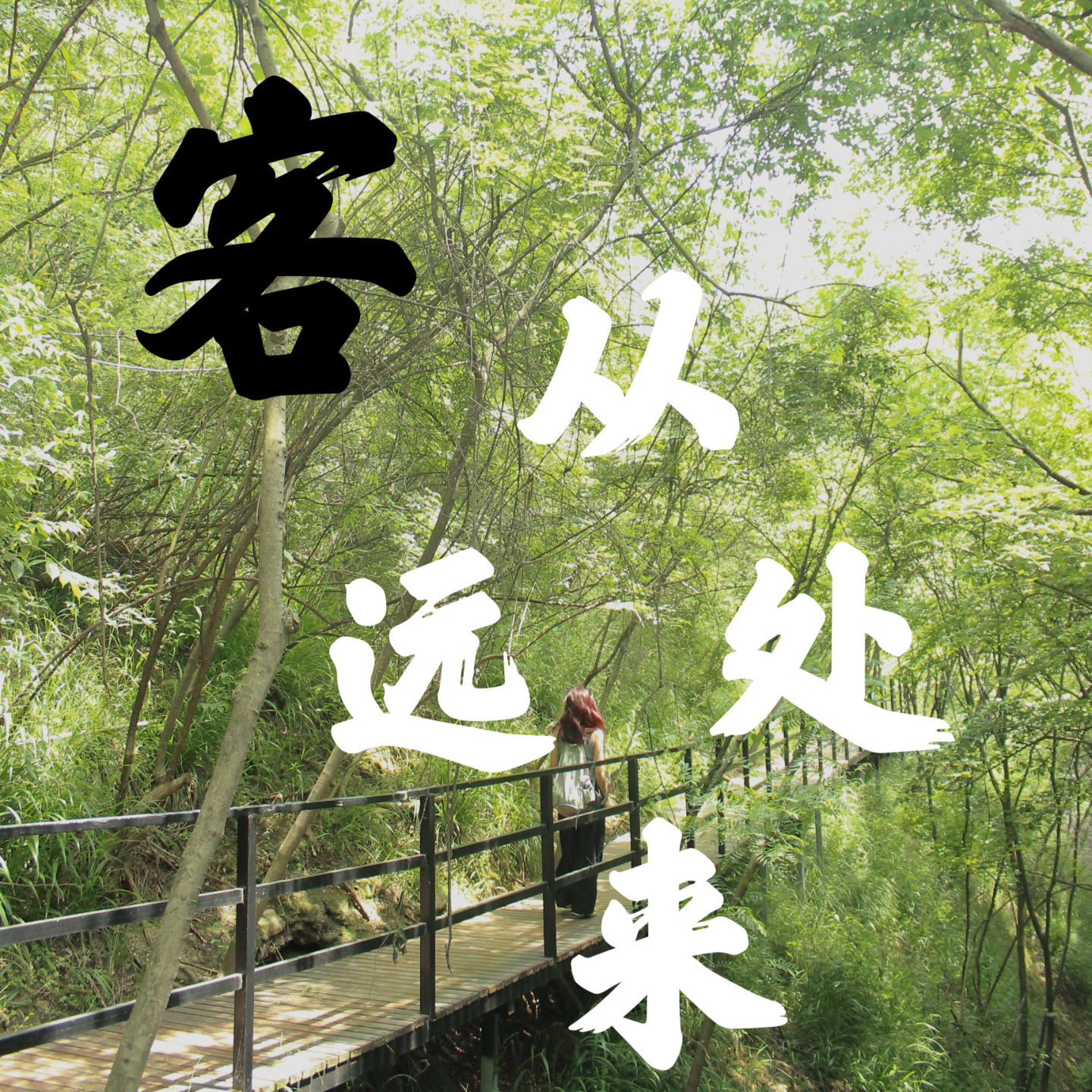 客从远处来| 小宇宙- 听播客，上小宇宙