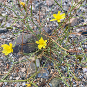 17.校园霸凌后几度退学,潮汕女孩如何成为自己「大女主」?