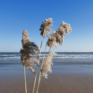 Vol. 4 「随便唠唠」2022，请回答2009（下）