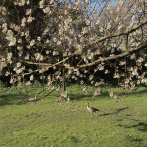 Vol.01 我与世界周旋久,聊聊35岁的工作、友谊和爱情