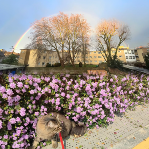 No.50 春日特辑：春天在歌里蔓延滋长