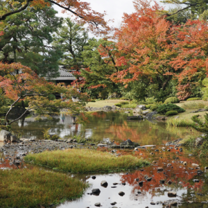 京都｜“红叶季不去热门点，在鸭川边发发呆也很好”
