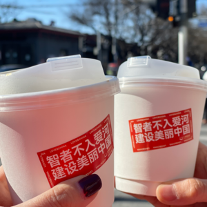 EP15 比匆匆那年更匆匆，我是你的早恋记事簿