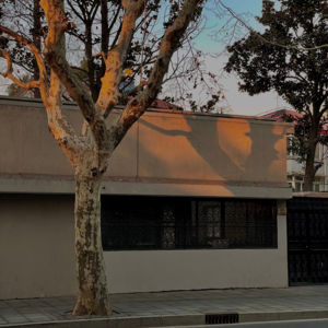 Episode 63:身为普通人的焦虑和自洽时刻