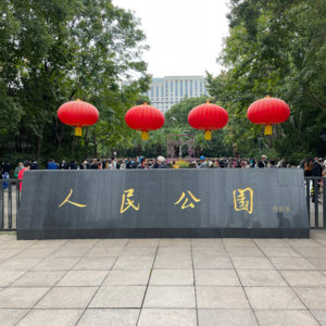 Vol.11 人民公园初相遇，转桌相亲人萌比
