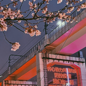 -065 疫情之后，你还愿意当一名医生吗