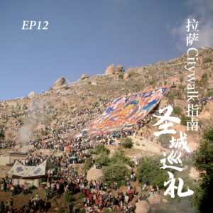 EP12. 拉萨Citywalk指南上：从大昭寺到布达拉的圣城巡礼