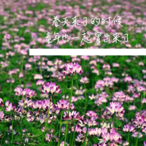 【12】春天来了的时候童年也一起冒出来了