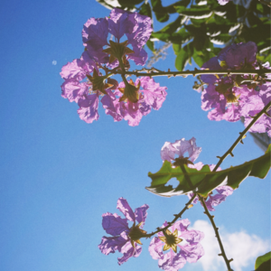 #EP 14 QE Channel 慎入!内含丰富RnB,伤肾!