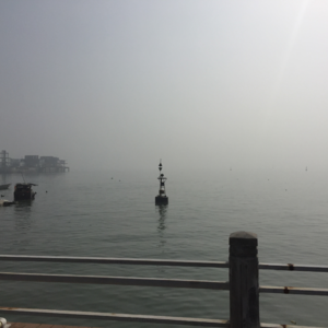 寥聊 「LL」 —— 冷