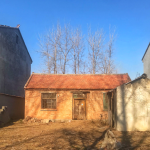 Z爸Z妈的房间丨大年三十晚上，我把爸妈聊哭了 vol.2