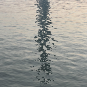 Vol.41｜ 如何在熟悉的城市里，创造一点新鲜体验？