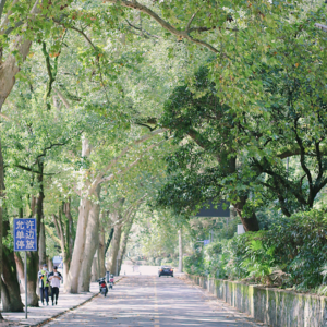 Vol1 毕业季：一年后，你过得还好吗？